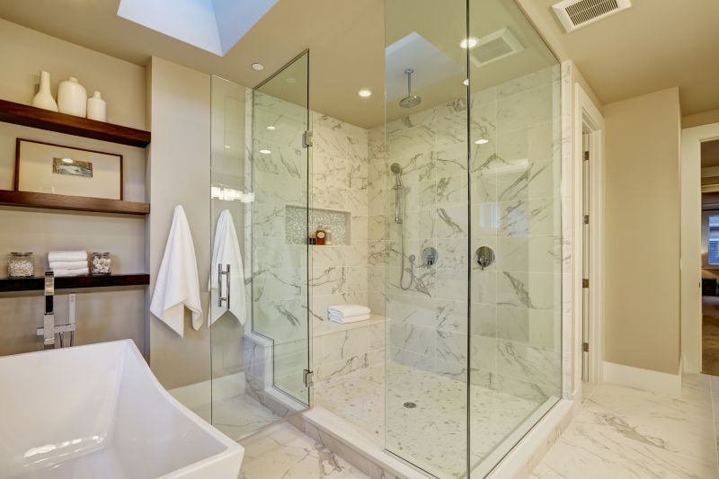 Elegant Glass Shower Enclosure